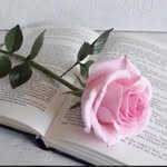 Faheem Ameen - @faheem.ameen.754918 - Instagram