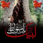 Faheem Ameen - @faheem.ameen.50 - Instagram