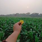 Fahmida Alam - @fahmida_alam02 - Instagram