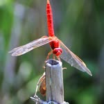 Fai Cheung - @fai.cheung.359 - Instagram