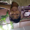 Faiq Shaikh - @faiqshaikh03 - TikTok