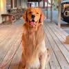 FAISA MOHAMED - @faisa.mohamed93 - TikTok