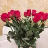 faisa mohamed - @fasiamohamed1 - TikTok