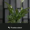 Mohamed Faisa - @mohamed.faisa - TikTok