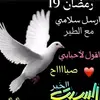 faisa omar - @faisaomar12 - TikTok