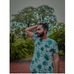 Faisal Abid - Facebook