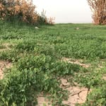 Faisal ALkhalaf - @faisal101118 - Instagram