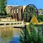 Faisal Alkhalaf - Facebook