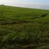Faisal Alkhalaf - @faisal.alkhalaf8 - TikTok