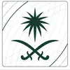 Faisal Al Saud - @faisalmalsaud_ - TikTok