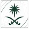 Faisal Al Saud - @faisalmalsa.ud - TikTok