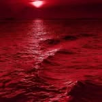 Faisal Haque - @haque4093 - Instagram