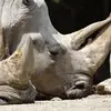 faisalhaque285 - @faisalhaque285 - TikTok