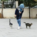 Huda Faisal - @huda.faisal_ - Instagram