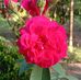 Faisal Majeed - Facebook