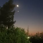 Faisal Masoud - @faisal230987 - Instagram