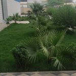 Faisal Nasim - @faisalnasim33 - Instagram