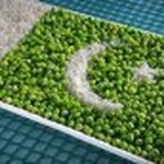 Muhammad Faisal Nasim - @faisalnaseem - Instagram