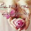 Faisal Ray - @faisalray7 - TikTok