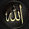 SHAH FAISAL RIAZ - @shahfaisalriaz - TikTok