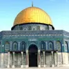 faisalzedan971 - @faisalzedan971 - TikTok