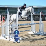 @faithackers_showjumping - Instagram