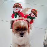 Faith Ang - @faith_a.s.h - Instagram