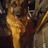 Faith Mayers - @faithmayers - TikTok