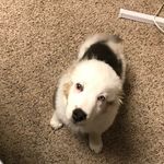 Princess Faith Barron - @princess_faith_barron_ - Instagram