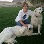 Faith Kauffman Bonds - @fannb77 - Instagram