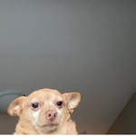 Syria Richards - @faithboundsyria - Instagram