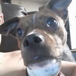 @faith_browning.2 - Instagram