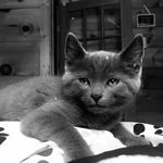 🐈Faith Burt🐈 - @xx._.smoky._.xx - Instagram