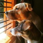 Casper Faith - @casperfaithfurrytales - Instagram