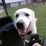 faith collier - @fairh.collier800 - Instagram