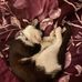 Faith Combs - Facebook