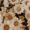 Faith_conner - @faithconnerrr - TikTok