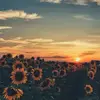 Faith - @faith_conner246 - TikTok