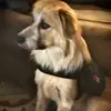 Faithlynn Crowder - @faithlynncrowder - TikTok