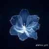 Faith Daly - @faith.daly8 - TikTok