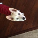 Faith Dodge - @faith_plays_sports - Instagram