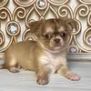 Faith Duran - @faith.duran3 - TikTok