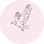 Eagle Faith Prayer🦅 - @eaglefaithprayer - Instagram