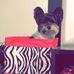 Gracie Faith Eckert - Facebook