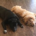 Faith everett - @faitheverett9 - Instagram