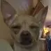 faithgary2 - @faithgary2 - TikTok