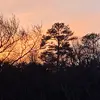 Faith - @faithgraham1213 - TikTok