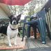 Faith Hackworth - Facebook
