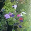Faith Head - @faith.head4 - TikTok