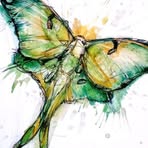 Faith Holder - Facebook
